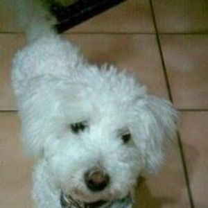 Meet your Posher, Barbara